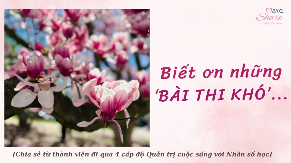 TỪ BẠN HỮU DUYÊN: BIẾT ƠN NHỮNG ‘ĐỀ THI KHÓ’ ĐỂ TA ĐỦ ‘CÚ HÍCH’ MÀ VƯỢT QUA…