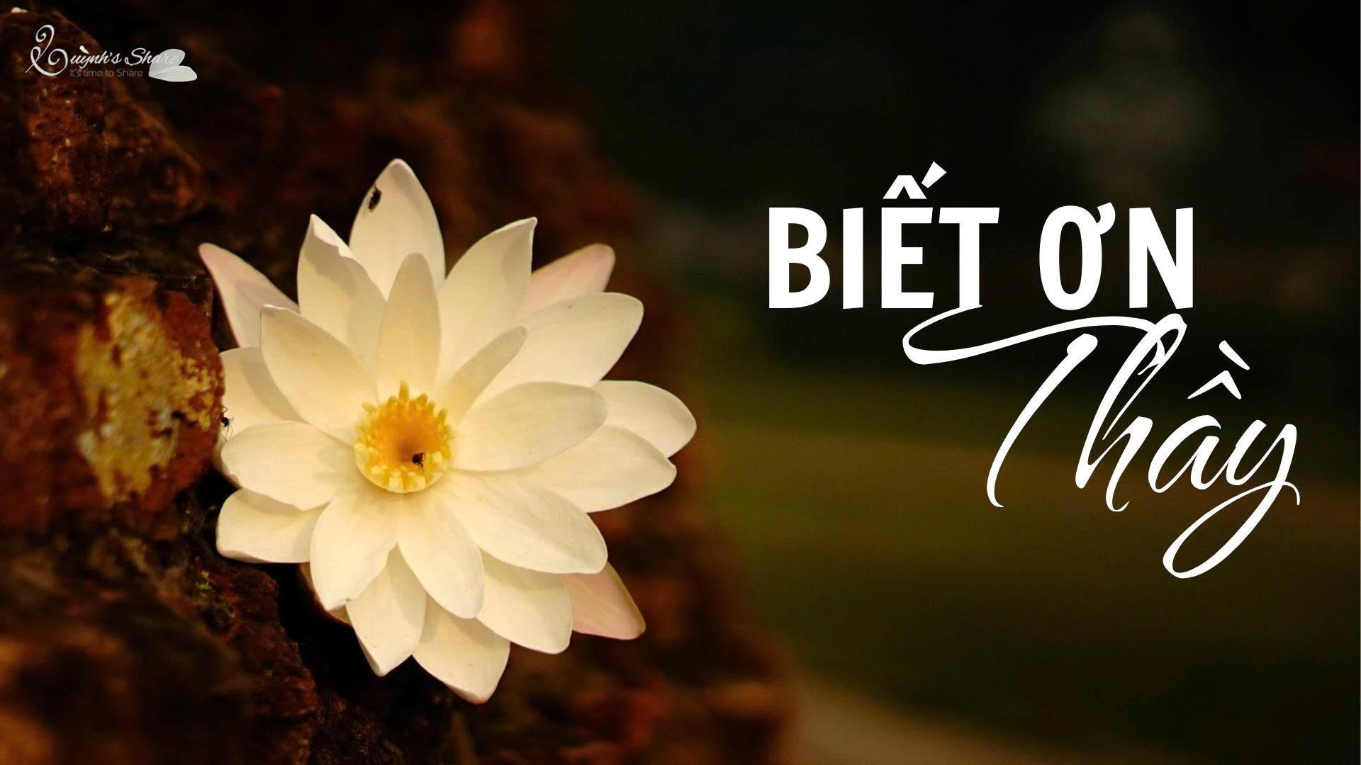 [BIẾT ƠN CON NGƯỜI ĐẶC BIỆT ĐÃ THAY ĐỔI CUỘC ĐỜI CHÚNG MÌNH] Biết ơn Thầy 