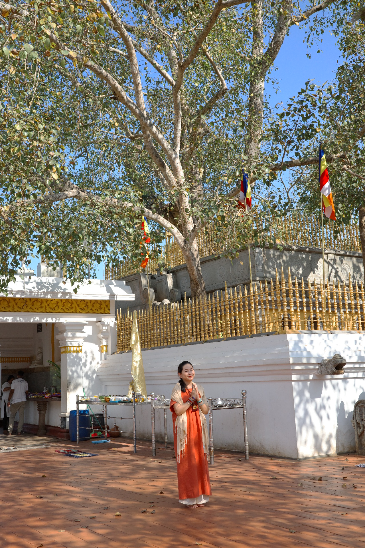 [Ký sự hành trình – KHẢO SÁT SRI LANKA] Bài 2: NHÁNH BỒ ĐỀ THIÊNG & CỐ ĐÔ ĐẦU TIÊN ANURADHAPURA: THIÊNG LIÊNG TRONG TỪNG HƠI THỞ 