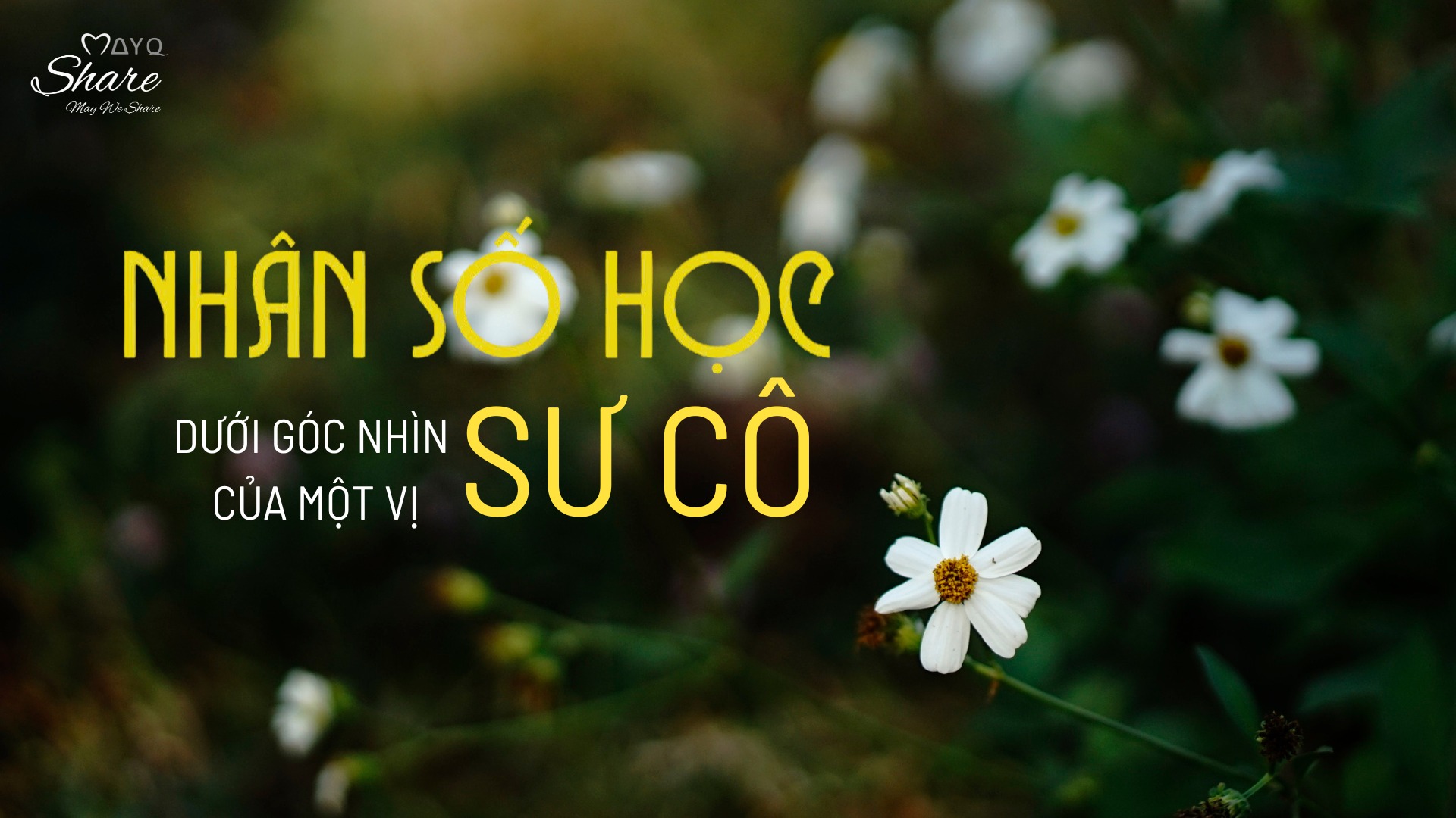 [Từ Nhân số học] NHÂN SỐ HỌC DƯỚI GÓC NHÌN CỦA MỘT VỊ SƯ CÔ 