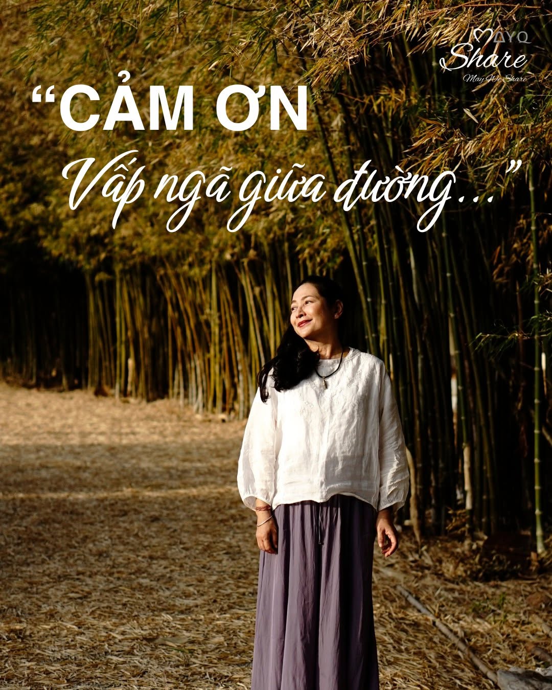 [Từ Nhân số học] “CẢM ƠN VẤP NGÃ GIỮA ĐƯỜNG…”