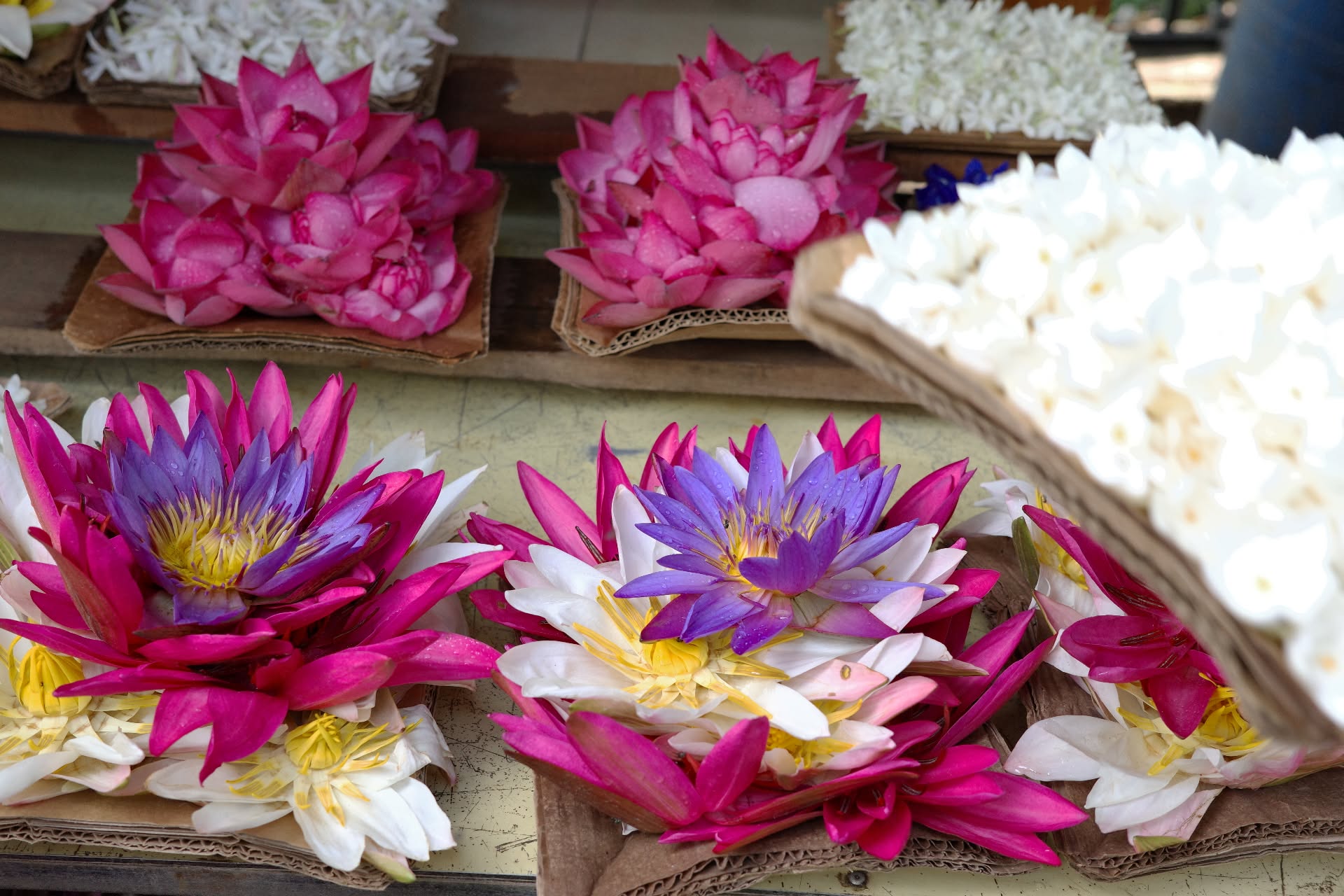[Ký sự hành trình – KHẢO SÁT SRI LANKA] Bài 6: CỐ ĐÔ KANDY: KHI XÁ LỢI PHẬT TRỞ THÀNH LINH HỒN CỦA CẢ MỘT VƯƠNG QUỐC