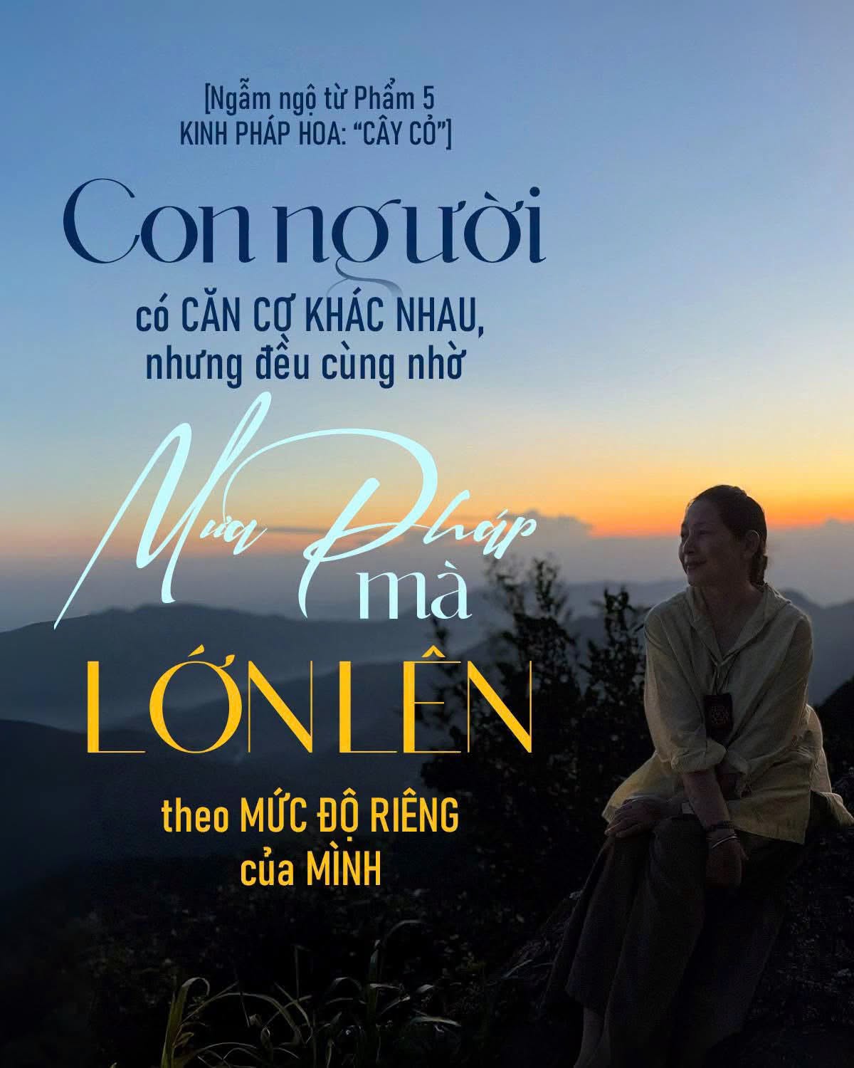 [NGẪM NGỘ TỪ PHẨM 5 KINH PHÁP HOA – PHẨM “CÂY CỎ”] CON NGƯỜI CÓ CĂN CƠ KHÁC NHAU, NHƯNG ĐỀU CÙNG NHỜ MƯA PHÁP MÀ LỚN LÊN, THEO MỨC ĐỘ RIÊNG CỦA MÌNH